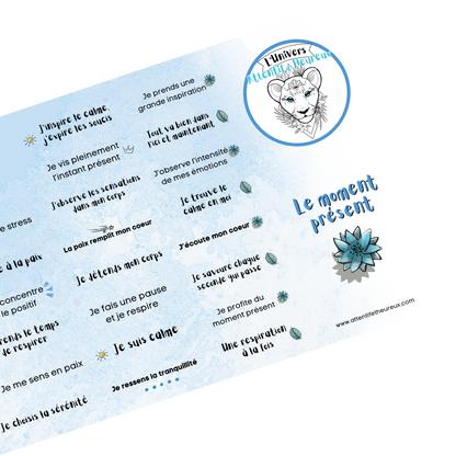 Affirmations pleine conscience – Le Moment Présent (40 autocollants)