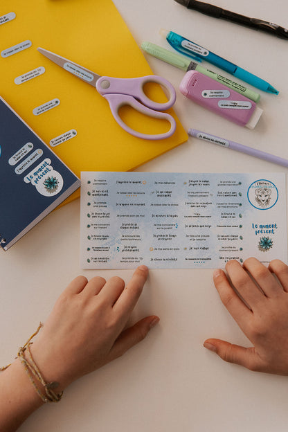Affirmations pleine conscience – Le Moment Présent (40 autocollants)